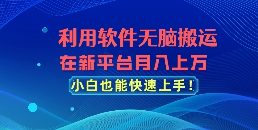 利用软件无脑搬运，在新平台月入上万，小白也能快速上手 - 163资源网-163资源网