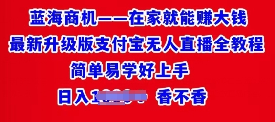 在家就能赚大钱最新升级版支付宝无人直播全教程，简单易学好上手 - 163资源网-163资源网