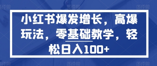 小红书爆发增长，高爆玩法，零基础教学，轻松日入100+ - 163资源网-163资源网