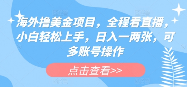 海外撸美金项目，全程看直播，小白轻松上手，日入一两张，可多账号操作【揭秘】 - 163资源网-163资源网