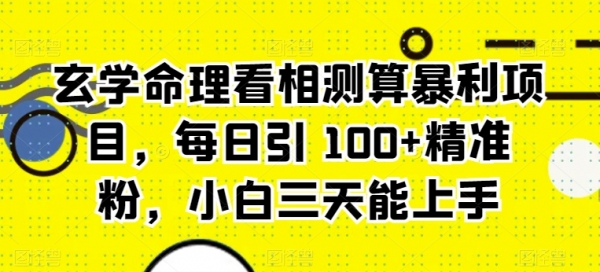 玄学命理看相测算暴利项目，每日引 100+精准粉，小白三天能上手 - 163资源网-163资源网