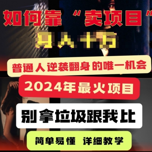 2024年最火项目，如何靠“卖项目”逆装翻身，简单易懂 详细教学 完整版5节课 - 163资源网-163资源网