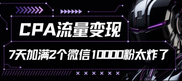 CPA流量变现7天加满两个微信10000粉 - 163资源网-163资源网