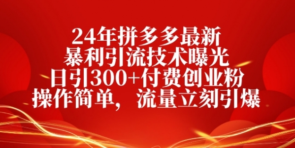 24年拼多多最新暴利引流技术曝光，日引300+付费创业粉，操作简单，流量立刻引爆 - 163资源网-163资源网