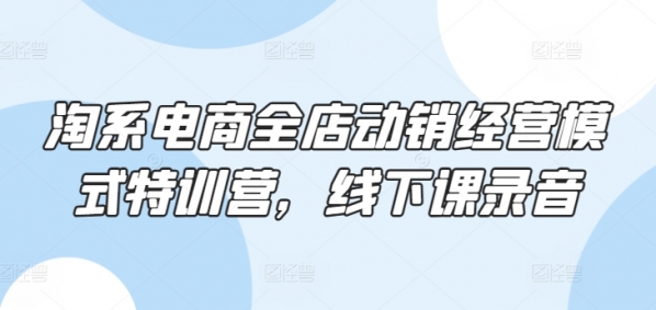 淘系电商全店动销经营模式特训营，线下课录音 - 163资源网-163资源网