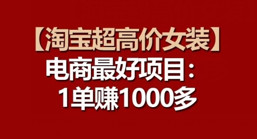 【淘宝超高价女装】电商最好项目：每一单都是高利润 - 163资源网-163资源网