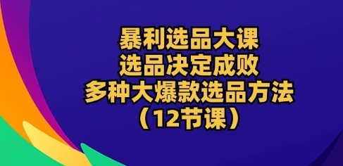 暴利选品大课：选品决定成败，教你多种大爆款选品方法(12节课) - 163资源网-163资源网