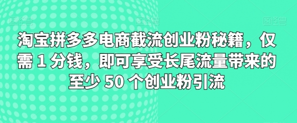 淘宝拼多多电商截流创业粉秘籍，仅需 1 分钱，即可享受长尾流量带来的至少 50 个创业粉引流 - 163资源网-163资源网