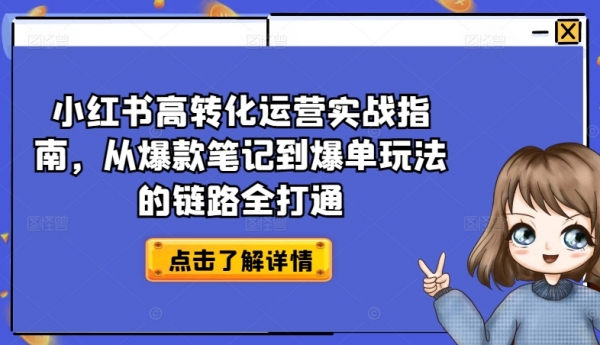 小红书高转化运营实战指南，从爆款笔记到爆单玩法的链路全打通 - 163资源网-163资源网