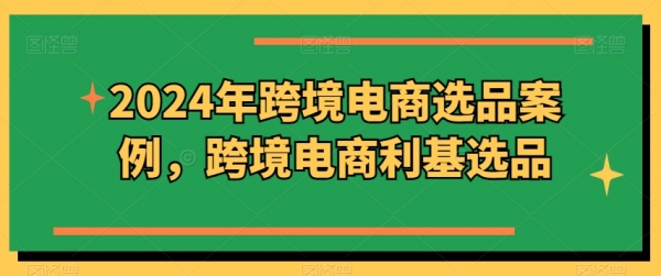 2024年跨境电商选品案例，跨境电商利基选品 - 163资源网-163资源网