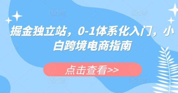 掘金独立站，0-1体系化入门，小白跨境电商指南 - 163资源网-163资源网