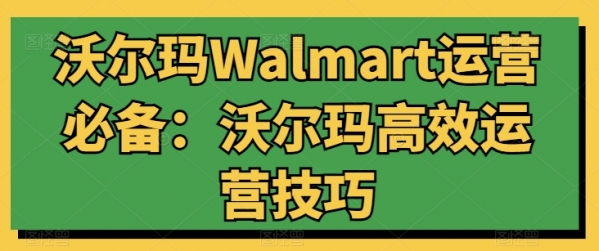 沃尔玛Walmart运营必备：沃尔玛高效运营技巧 - 163资源网-163资源网