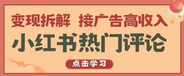 小红书热门评论，变现拆解，接广告高收入【揭秘 】 - 163资源网-163资源网