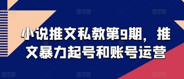 小说推文私教第9期，推文暴力起号和账号运营 - 163资源网-163资源网