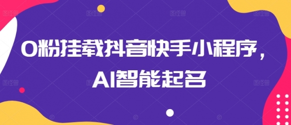 0粉挂载抖音快手小程序，AI智能起名 - 163资源网-163资源网