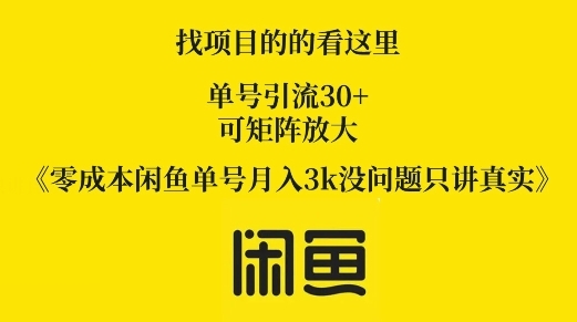 零成本闲鱼单号月入3k没问题只讲真实 - 163资源网-163资源网