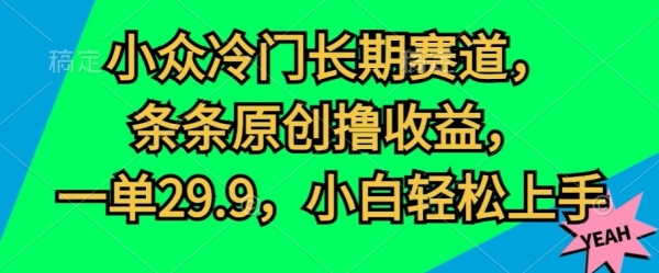 小众冷门长期赛道，条条原创撸收益，一单29.9，小白轻松上手 - 163资源网-163资源网