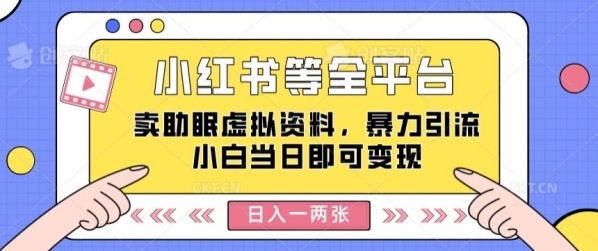 小红书等全平台卖助眠虚拟资料，暴力引流小白当日即可变现，轻松日入一两张 - 163资源网-163资源网