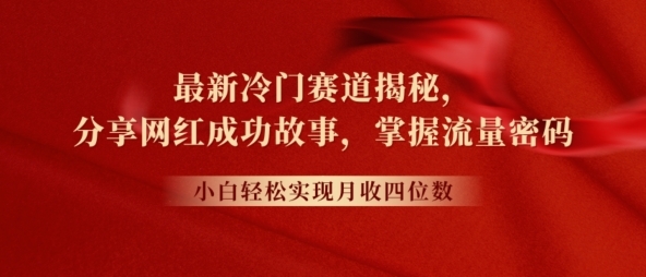 最新冷门赛道揭秘，分享网红成功故事，小白轻松掌握流量密码 - 163资源网-163资源网