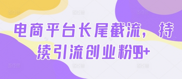 电商平台长尾截流，持续引流创业粉99+ - 163资源网-163资源网