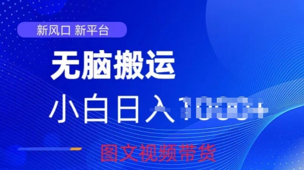 京东视频图文搬运带货项目，蓝海赛道小白轻松上手，每天一小时轻松获取收益 - 163资源网-163资源网