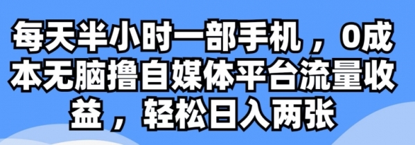 每天半小时一部手机 ，0成本无脑撸自媒体平台流量收益 - 163资源网-163资源网