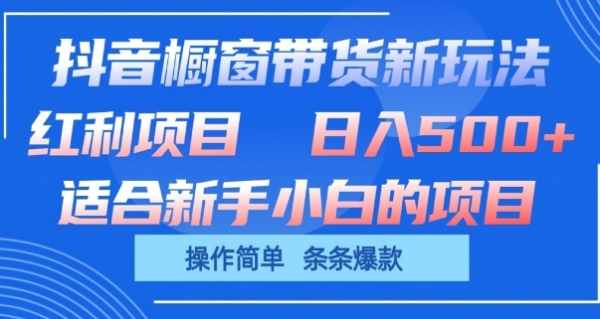 抖音橱窗带货新玩法，单日收益几张，操作简单，条条爆款【揭秘】 - 163资源网-163资源网