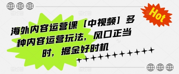 海外内容运营课【中视频】多种内容运营玩法，风口正当时，掘金好时机 - 163资源网-163资源网