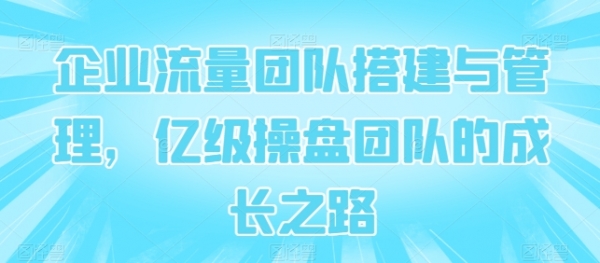 企业流量团队搭建与管理，亿级操盘团队的成长之路 - 163资源网-163资源网