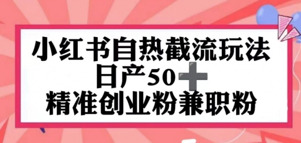 小红书自热截留玩法，日产50+精准创业粉兼职粉，轻松实现流量变现 - 163资源网-163资源网