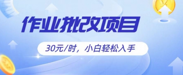 批改作业项目，30元时，简单容易上手，适合宝妈，大学生 - 163资源网-163资源网