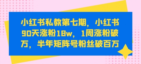 小红书私教第七期，小红书90天涨粉18w，1周涨粉破万，半年矩阵号粉丝破百万 - 163资源网-163资源网