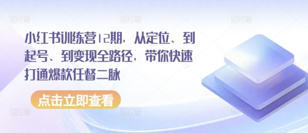 小红书训练营12期，从定位、到起号、到变现全路径，带你快速打通爆款任督二脉 - 163资源网-163资源网