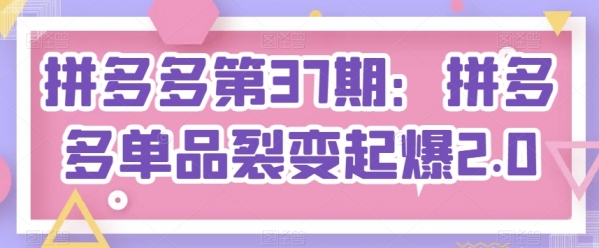 拼多多第37期：拼多多单品裂变起爆2.0 - 163资源网-163资源网