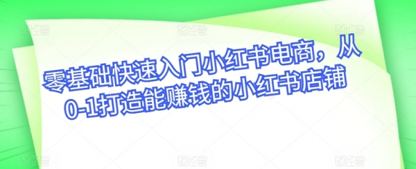 零基础快速入门小红书电商，从0-1打造能赚钱的小红书店铺 - 163资源网-163资源网