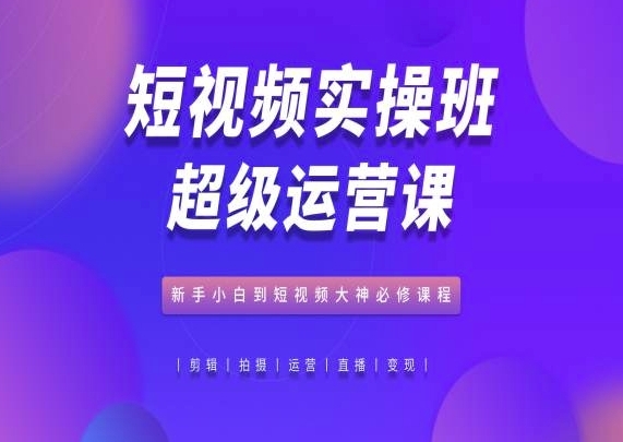 短视频实操班超级运营课，新手小白到短视频大神必修课程 - 163资源网-163资源网