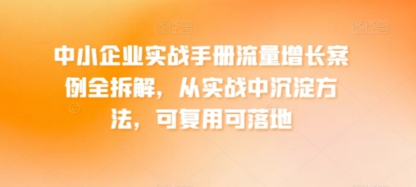 中小企业实战手册流量增长案例全拆解，从实战中沉淀方法，可复用可落地 - 163资源网-163资源网