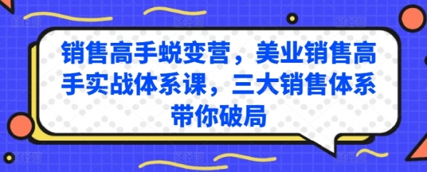 销售高手蜕变营，美业销售高手实战体系课，三大销售体系带你破局 - 163资源网-163资源网