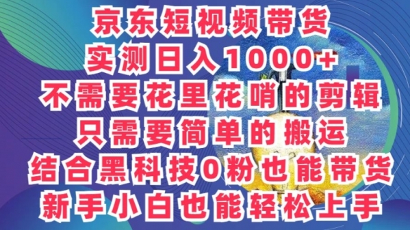 2024最新骚操作，京东带货项目，不需要花里花哨的剪辑，只需要简单的搬运 - 163资源网-163资源网