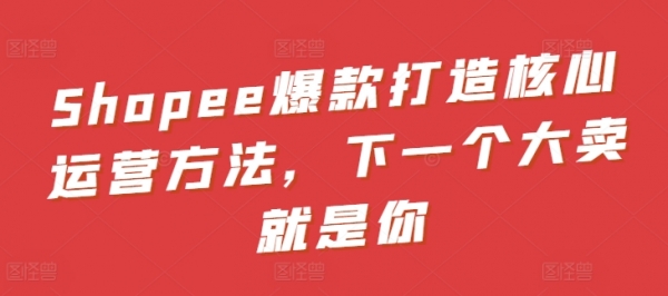 Shopee爆款打造核心运营方法，下一个大卖就是你 - 163资源网-163资源网