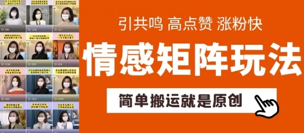 简单搬运，情感矩阵玩法，涨粉速度快，可带货，可起号【揭秘】 - 163资源网-163资源网