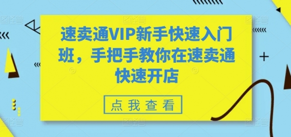 速卖通VIP新手快速入门班，手把手教你在速卖通快速开店 - 163资源网-163资源网