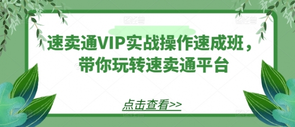 速卖通VIP实战操作速成班，带你玩转速卖通平台 - 163资源网-163资源网