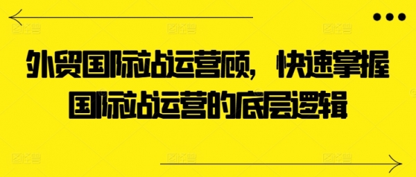 外贸国际站运营顾问，快速掌握国际站运营的底层逻辑 - 163资源网-163资源网