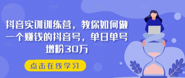 抖音实训训练营，教你如何做一个赚钱的抖音号，单日单号增粉30万 - 163资源网-163资源网