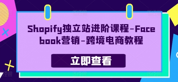 Shopify独立站进阶课程-Facebook营销-跨境电商教程 - 163资源网-163资源网