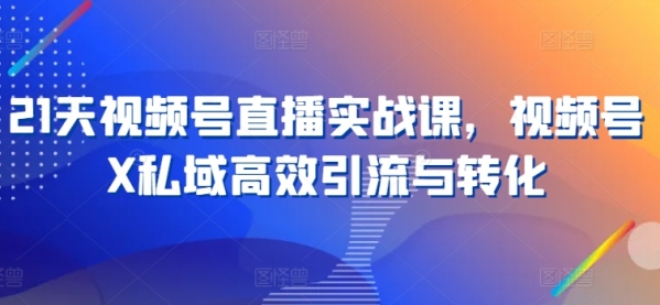 21天视频号直播实战课，视频号X私域高效引流与转化 - 163资源网-163资源网