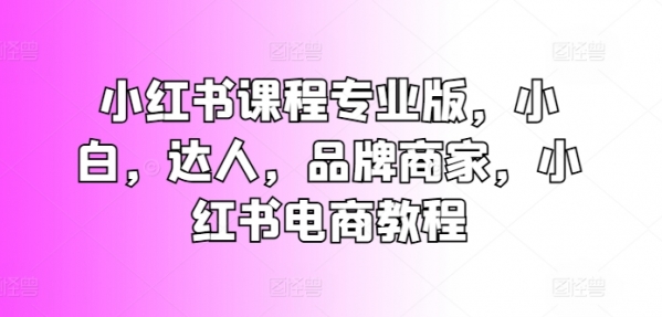 小红书课程专业版，小白，达人，品牌商家，小红书电商教程 - 163资源网-163资源网