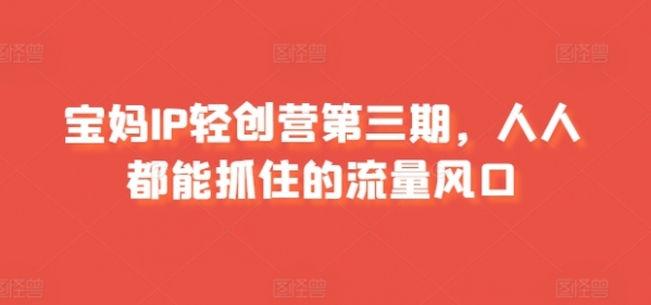 宝妈IP轻创营第三期，人人都能抓住的流量风口 - 163资源网-163资源网