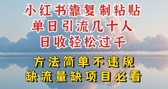 小红书靠复制粘贴单日引流几十人目收轻松过千，方法简单不违规【揭秘】 - 163资源网-163资源网